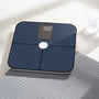 Digital Weight Scale